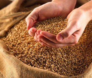 1423663119_healthy-grains