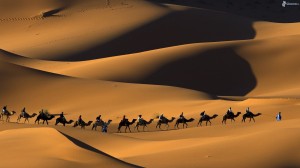 bedouins-on-camels-people-camels-desert-sand-177326