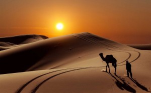 The-most-beautiful-desert-landscapes-of-the-World33__880